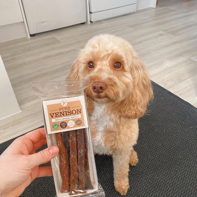 Pure Venison Sticks 50g - Annie's Dog Treats